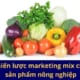 Chiến lược marketing mix cho sản phẩm nông nghiệp