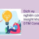 Dịch vụ nghiên cứutìm insight khách hàng - DTM Consulting