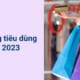 Xu hướng tiêu dùng năm 2023 - Consumer Trends 2023 dtm consulting