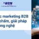 Chiến lược marketing B2B cho sản phẩm, giải pháp công nghệ dtm consulting