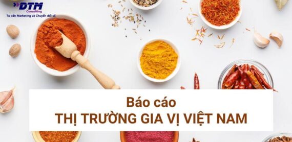 BÁO CÁO THỊ TRƯỜNG GIA VỊ VIỆT NAM DTM CONSULTING TƯ VẤN MARKETING VÀ NGHIÊN CỨU THỊ TRƯỜNG, INSIGHT THỊ TRƯỜNG