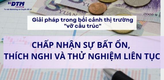 giải pháp thị trường tiêu dùng vỡ cấu trúc - CHẤP NHẬN SỰ BẤT ỔN, THÍCH NGHI VÀ THỬ NGHIỆM LIÊN TỤC dtm consulting