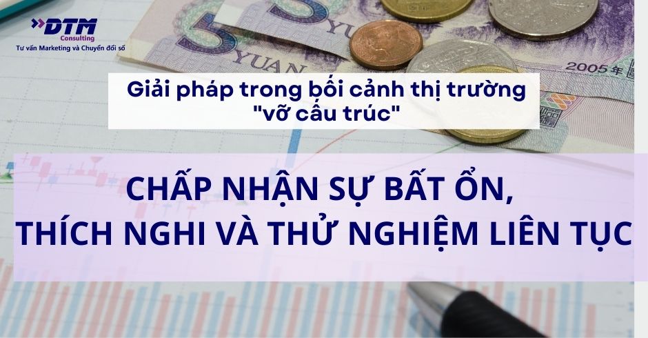 giải pháp thị trường tiêu dùng vỡ cấu trúc - CHẤP NHẬN SỰ BẤT ỔN, THÍCH NGHI VÀ THỬ NGHIỆM LIÊN TỤC dtm consulting
