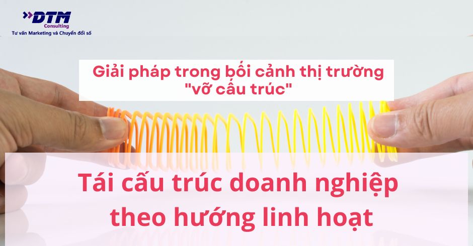 dtm consulting thị trường ngành tiêu dùng vỡ cấu trúc